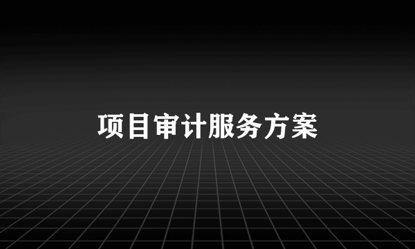 项目审计服务方案
