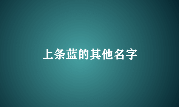 上条蓝的其他名字