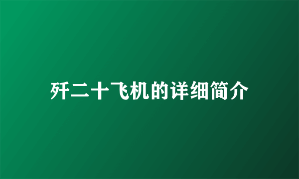 歼二十飞机的详细简介