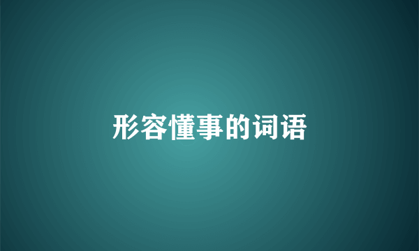 形容懂事的词语