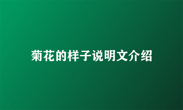 菊花的样子说明文介绍