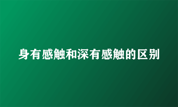 身有感触和深有感触的区别