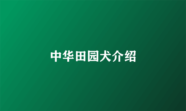 中华田园犬介绍