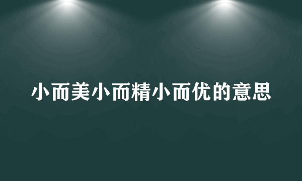 小而美小而精小而优的意思