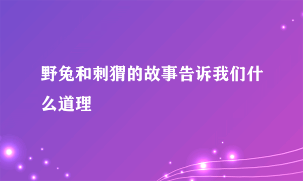 野兔和刺猬的故事告诉我们什么道理
