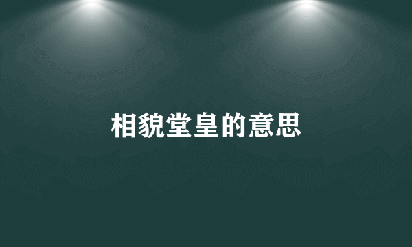 相貌堂皇的意思