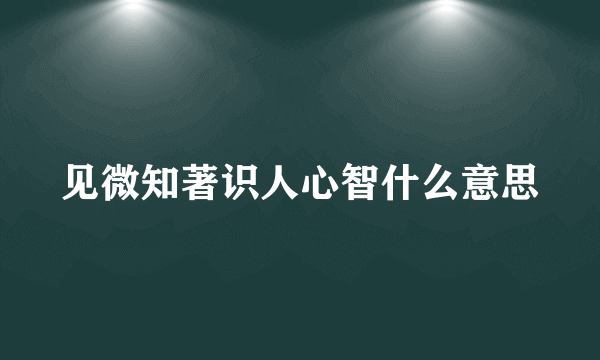见微知著识人心智什么意思