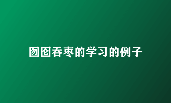 囫囵吞枣的学习的例子