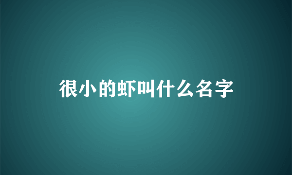很小的虾叫什么名字