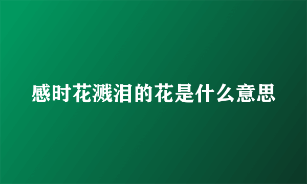 感时花溅泪的花是什么意思