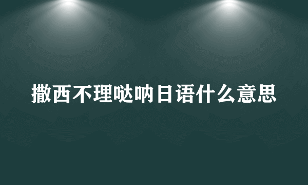 撒西不理哒呐日语什么意思