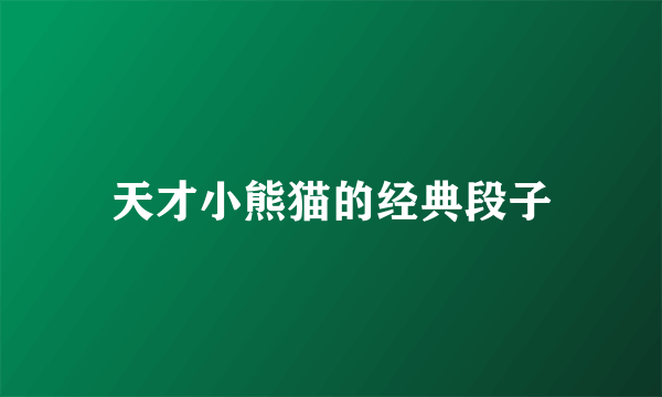 天才小熊猫的经典段子