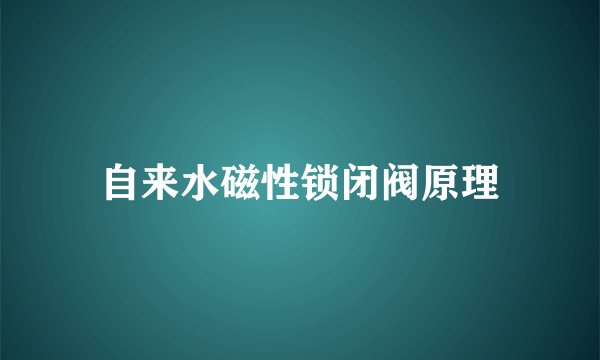 自来水磁性锁闭阀原理