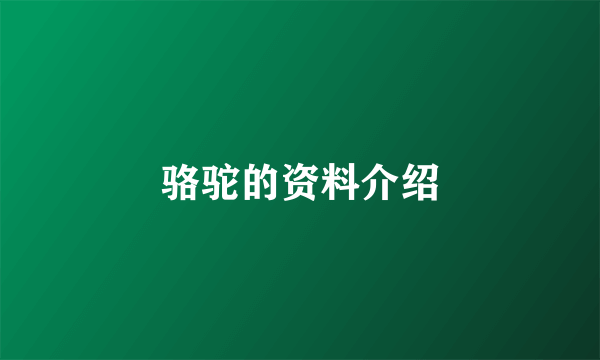骆驼的资料介绍