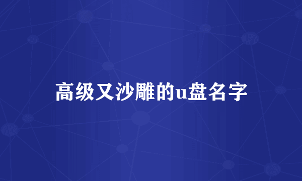 高级又沙雕的u盘名字