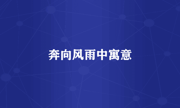 奔向风雨中寓意