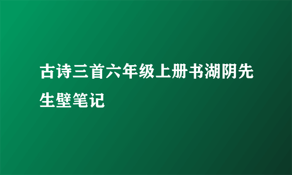 古诗三首六年级上册书湖阴先生壁笔记