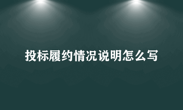 投标履约情况说明怎么写