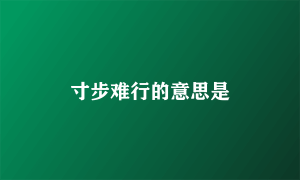 寸步难行的意思是