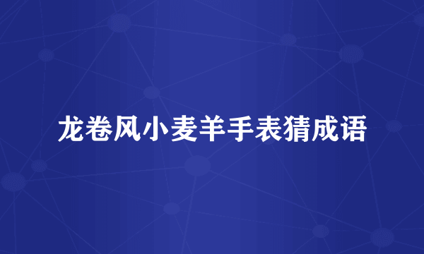 龙卷风小麦羊手表猜成语