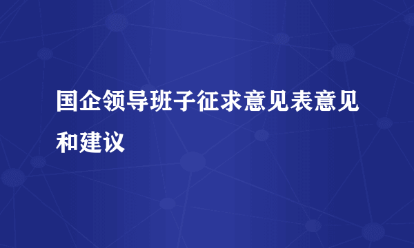 国企领导班子征求意见表意见和建议