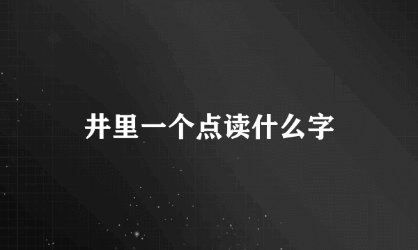 井里一个点读什么字