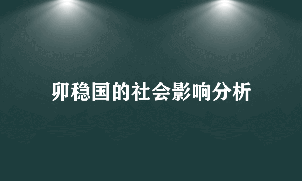 卯稳国的社会影响分析