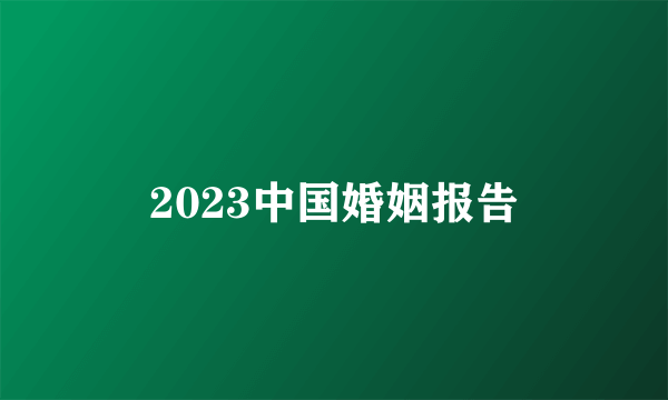 2023中国婚姻报告
