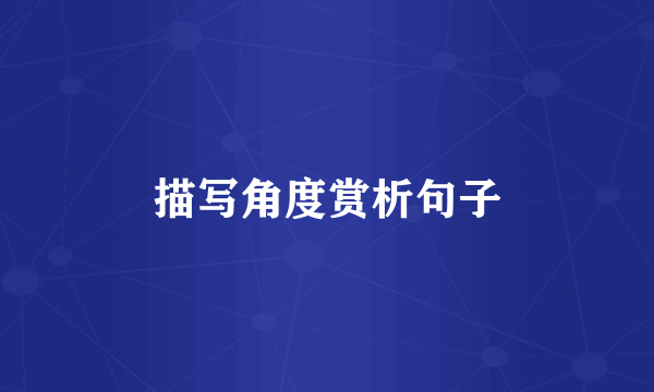 描写角度赏析句子
