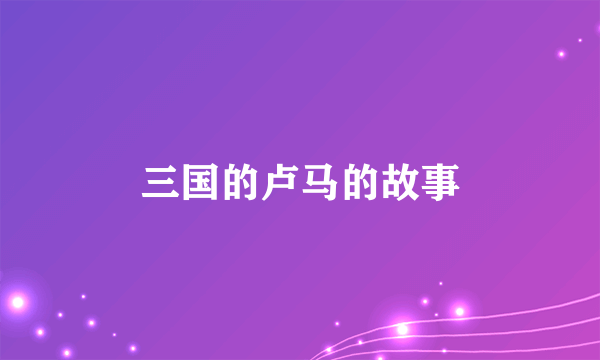 三国的卢马的故事