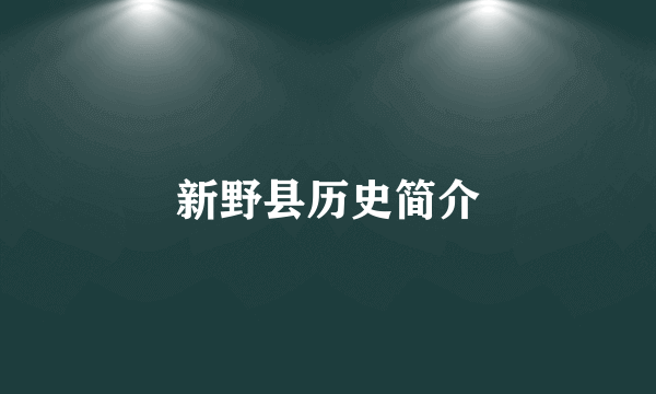 新野县历史简介