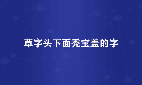 草字头下面秃宝盖的字