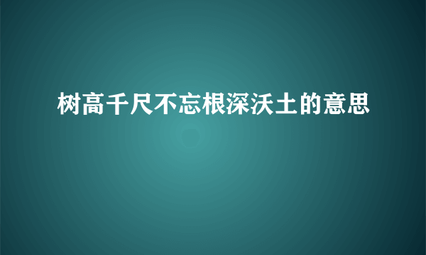 树高千尺不忘根深沃土的意思