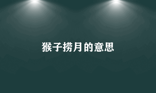 猴子捞月的意思