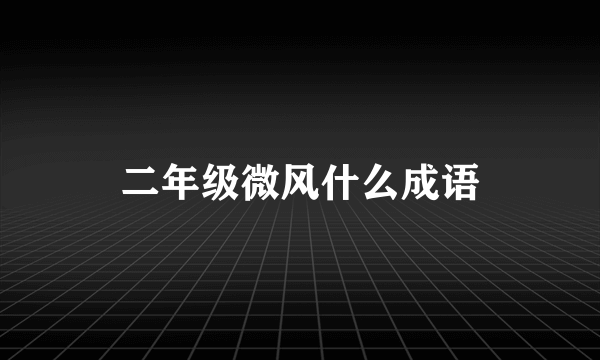 二年级微风什么成语