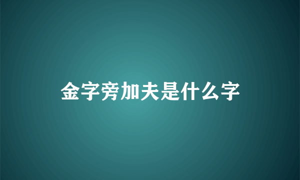 金字旁加夫是什么字