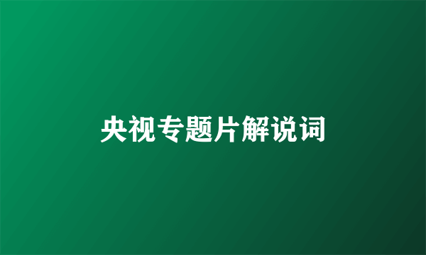 央视专题片解说词