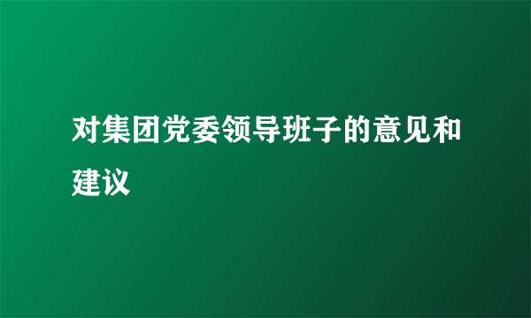 对集团党委领导班子的意见和建议
