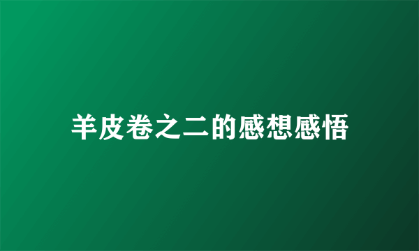 羊皮卷之二的感想感悟