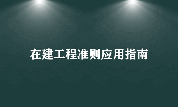 在建工程准则应用指南