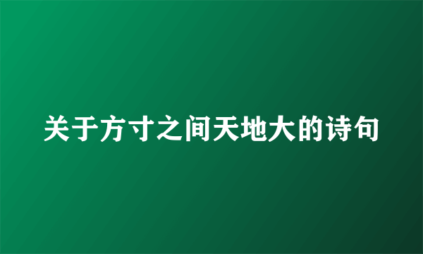 关于方寸之间天地大的诗句