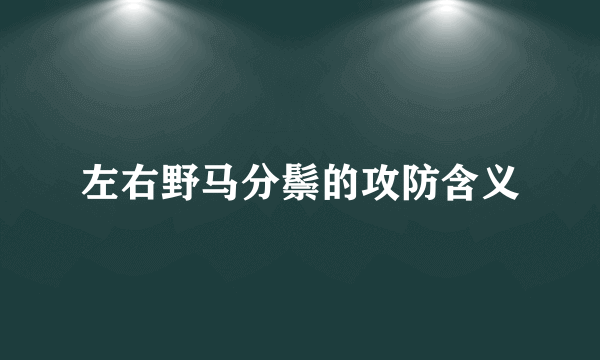 左右野马分鬃的攻防含义