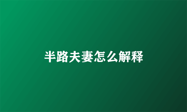 半路夫妻怎么解释