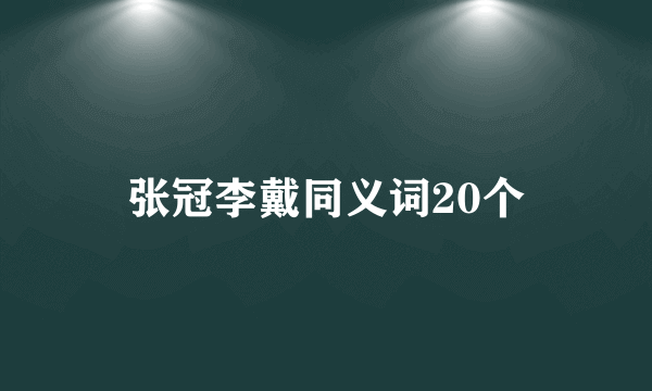 张冠李戴同义词20个