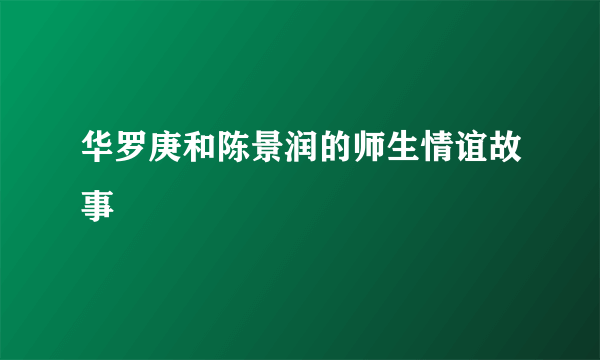 华罗庚和陈景润的师生情谊故事