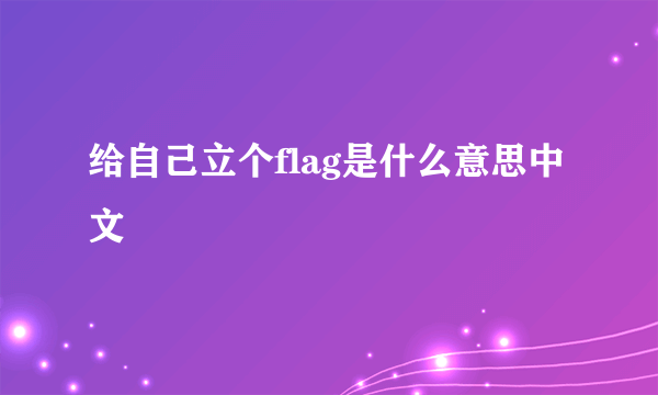 给自己立个flag是什么意思中文
