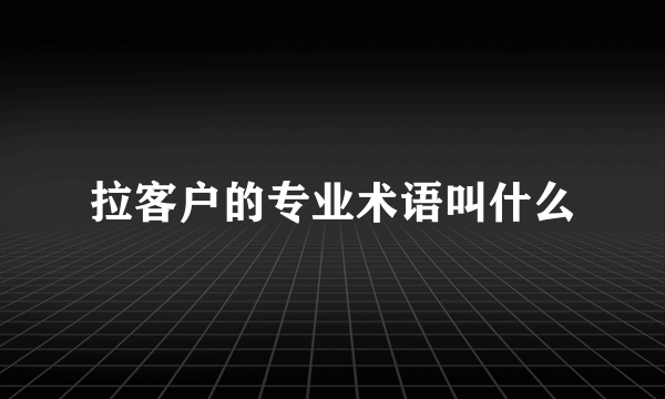 拉客户的专业术语叫什么
