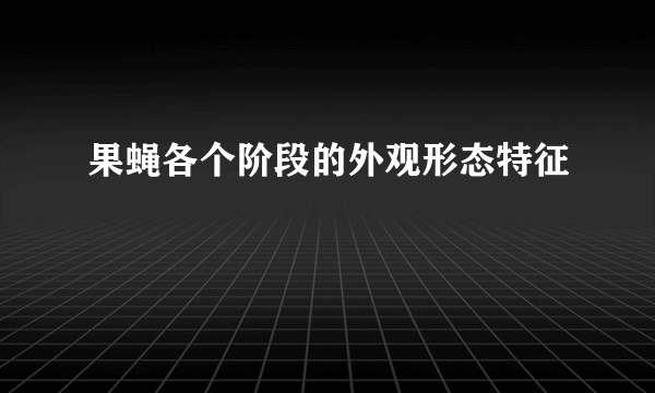 果蝇各个阶段的外观形态特征