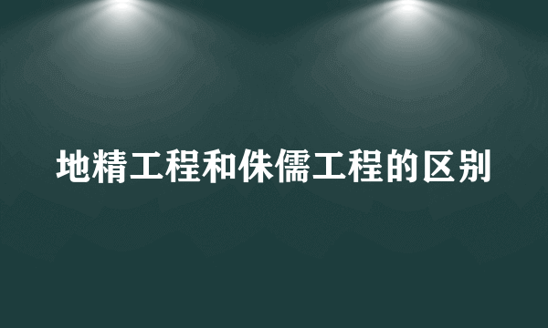 地精工程和侏儒工程的区别