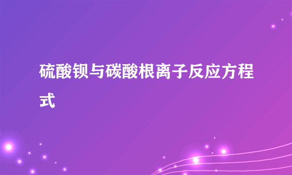 硫酸钡与碳酸根离子反应方程式